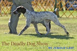 Dog show cover