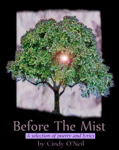 frnt cover of Before The Mist ebook